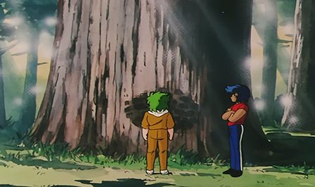 Grande Árvore da Mansão Kido — Saint Seiya Anime Special