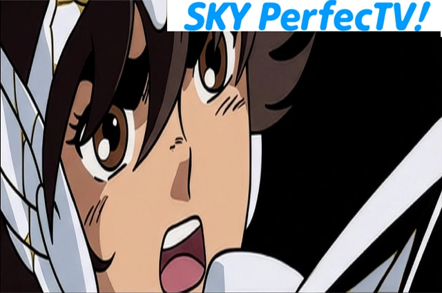 A Lista da Difusão da Versão da SKY PerfecTV!
